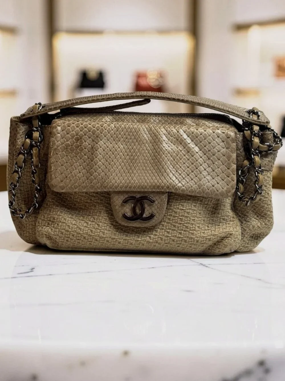 Chanel Python-Trimmed Accordion Flap Bag Taupe Exotic
